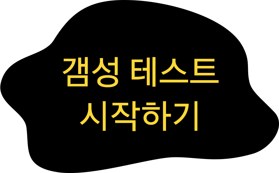 갬성 테스트 시작하기